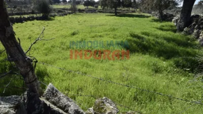 Rustic farm in Valdehúncar photo 16