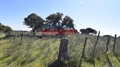 Rustic farm in Valdehúncar photo 17