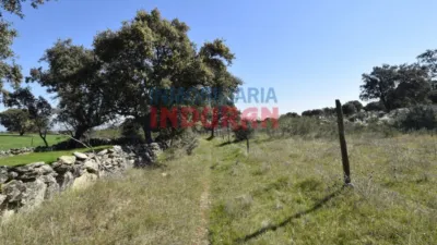 Rustic farm in Valdehúncar photo 19