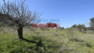 Rustic farm in Valdehúncar photo 21