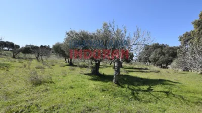 Rustic farm in Valdehúncar photo 23