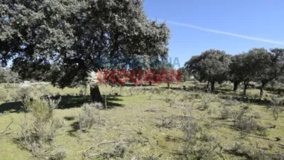Finca rústica en venta en Valdehúncar - Vista 4