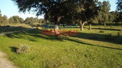 Rustic farm in Valdehúncar photo 30