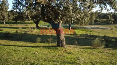 Rustic farm in Valdehúncar photo 31