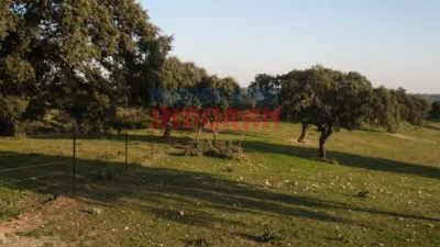 Rustic farm in Valdehúncar photo 32