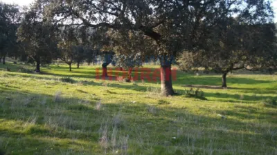 Rustic farm in Valdehúncar photo 33