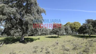 Finca rústica en venta en Valdehúncar - Vista 5