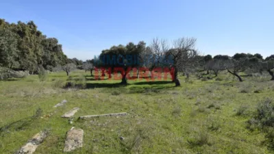 Rustic farm in Valdehúncar photo 5