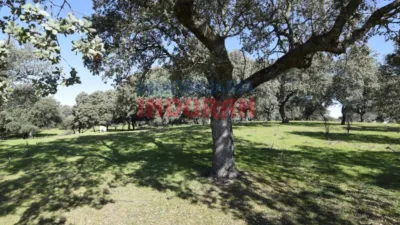 Rustic farm in Valdehúncar photo 9