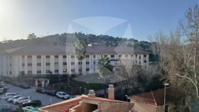 Apartment in Aguas Vivas-La Zambomba photo 15