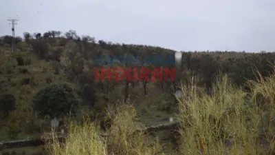 Finca rústica en venta en Calle Flor, 1 - Más