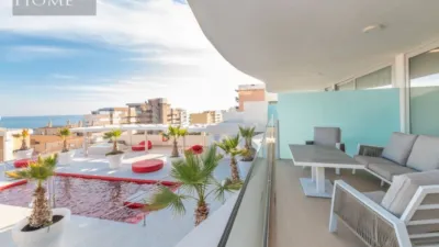Penthouse at Avenida de Carvajal, 67 photo 37