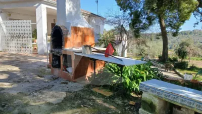 Chalet in Sur photo 10