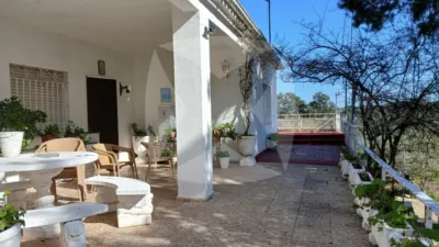Chalet in Sur photo 11