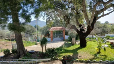Chalet in Sur photo 2