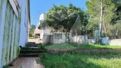 Chalet in Sur photo 34