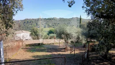 Chalet in Sur photo 35