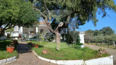 Chalet in Sur photo 3