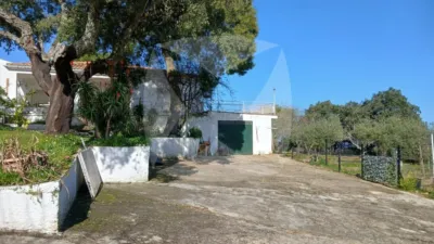 Chalet in Sur photo 4