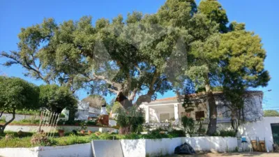 Chalet in Sur photo 8