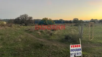 Rustic farm in Saucedilla photo 2