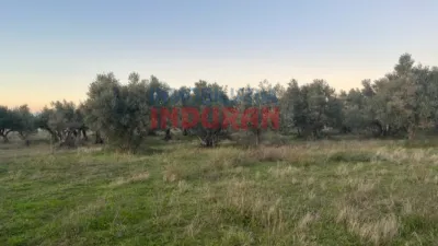 Rustic farm in Saucedilla photo 4