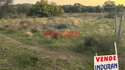 Rustic farm in Saucedilla photo 5