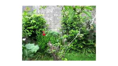 House in Bueu photo 48