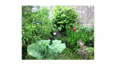 House in Bueu photo 52