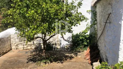 Rustic house in Sanlúcar de Guadiana photo 41