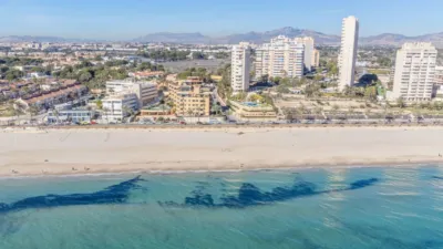 Penthouse at Calle de los Marineros, 1 photo 22