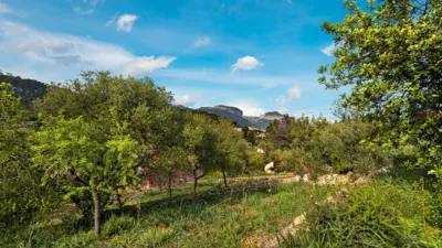 Rustic house in Alaró photo 18