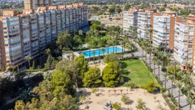 Apartment in Carrer de Sax, 3 photo 24