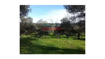 Finca rústica en Belvís de Monroy photo 10