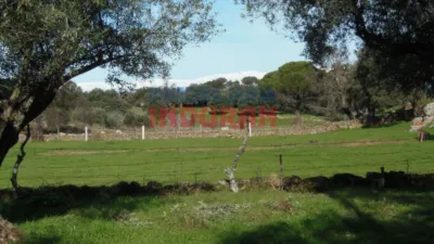Finca rústica en Belvís de Monroy photo 12