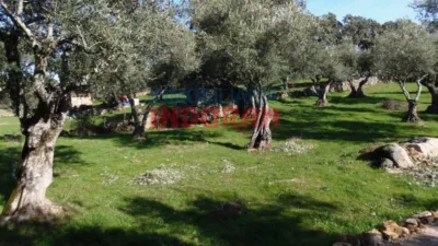 Rustic farm in Belvís de Monroy photo 3