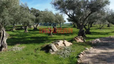 Finca rústica en venta en Belvís de Monroy - Vista 2