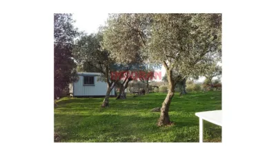 Finca rústica en venta en Belvís de Monroy - Vista 3