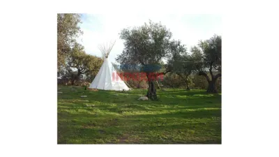 Finca rústica en venta en Belvís de Monroy - Vista 4