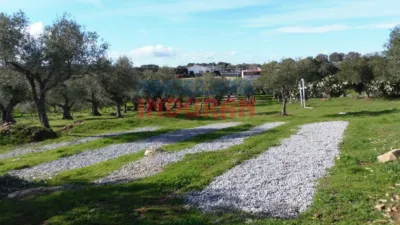 Finca rústica en venta en Belvís de Monroy - Vista 5