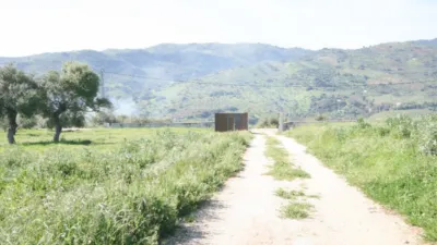 Rustic Finca in Tolox photo 10