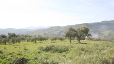 Rustic Finca in Tolox photo 11