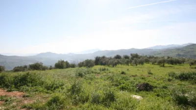 Rustic Finca in Tolox photo 12