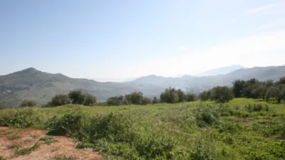 Rustic Finca in Tolox photo 14