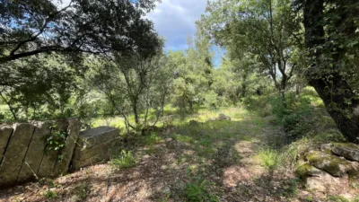 Finca rústica en Pollença photo 3