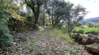 Finca rústica en Pollença photo 4