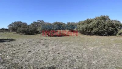 Finca rústica en venta en Villar del Pedroso - Vista 4