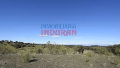 Finca rústica en venta en Villar del Pedroso - Vista 5