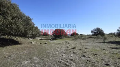 Finca rústica en venta en Villar del Pedroso - Más