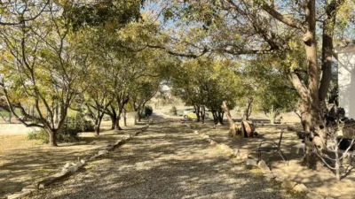 Villa in Burjulú photo 5